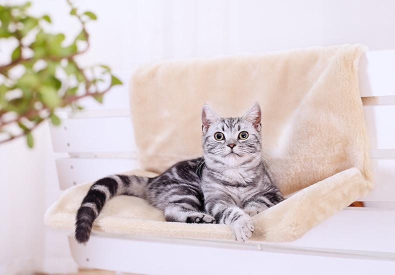 Panier Mural pour Chat Beige