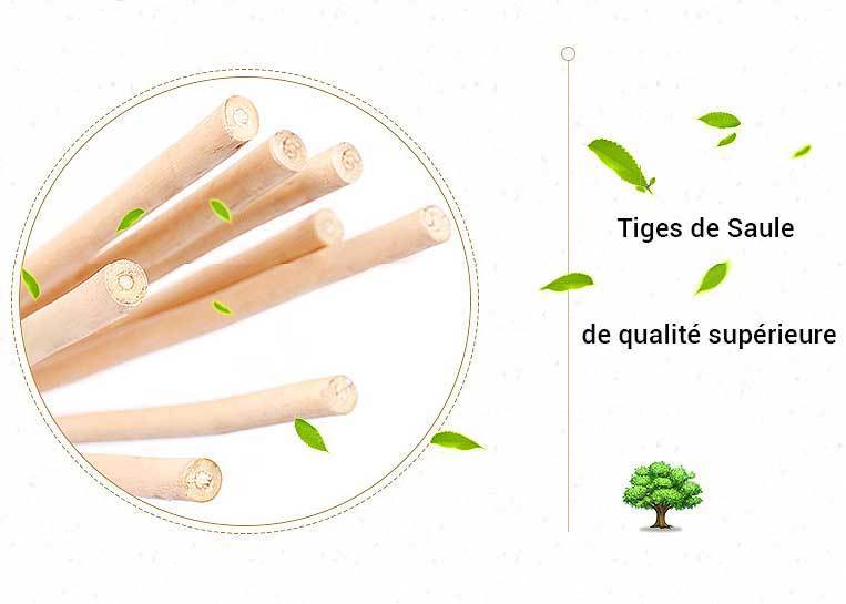 tiges de saule en osier vannerie